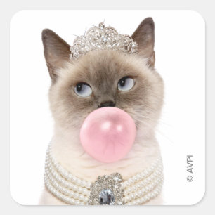 Princess Cat Blowing Bubble Gum Square Sticker