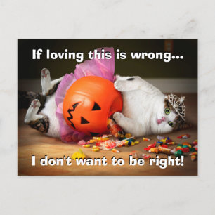 Princess Cat With Candy Bucket Invitation Postcard