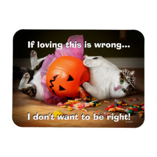 Princess Cat With Candy Bucket Magnet