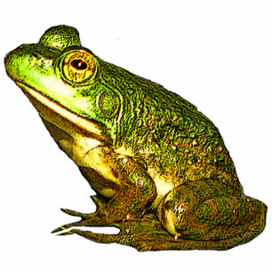 Princess Charming Christmas Hanging Acrylic Photo Sculpture Decoration