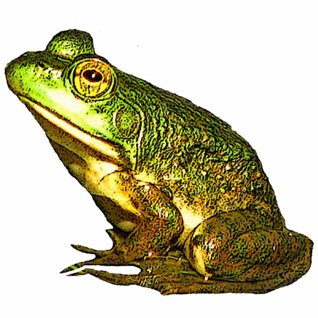 Princess Charming Christmas Hanging Acrylic Photo Sculpture Decoration (Front)