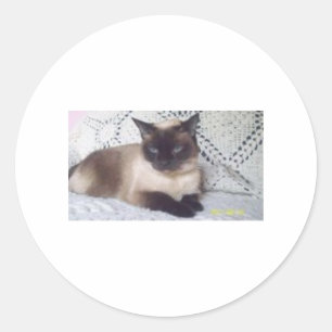 Princess Classic Round Sticker