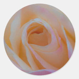 Princess Diana Rose Classic Round Sticker