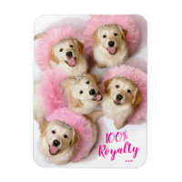 Princess Dogs in Tiaras