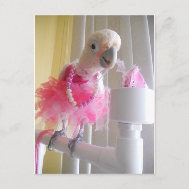 Princess Ella Postcard (Front)