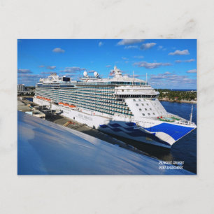 Princess in Port Postcard