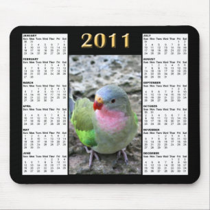 Princess Parrot 2011 Calendar Mousepad