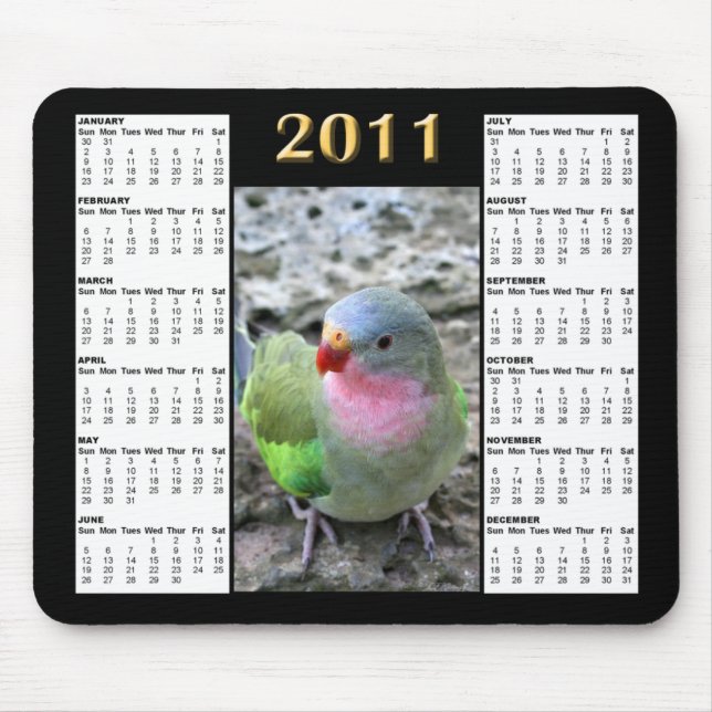 Princess Parrot 2011 Calendar Mousepad (Front)