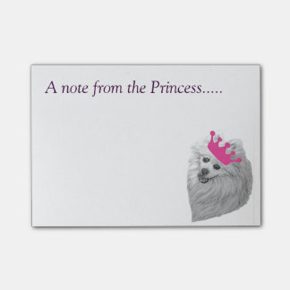 Princess Pomeranian notes original artwork