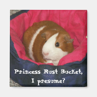 Princess Rust Bucket, I presume? Magnet