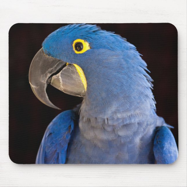 Princess Tara Mousepad (Front)