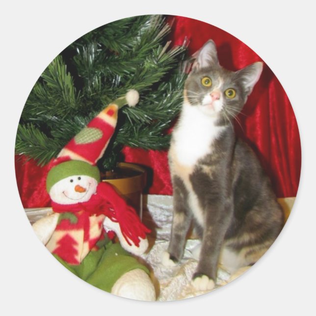 Princess Tiana's Christmas Tree - Cat / Kitten Classic Round Sticker (Front)