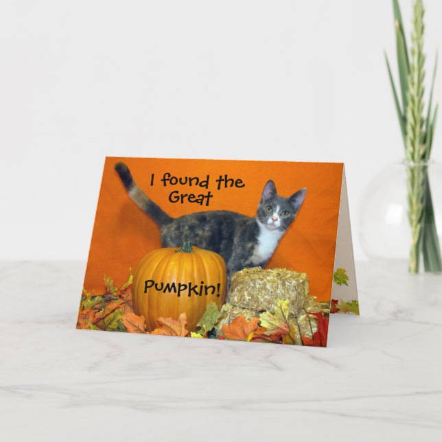 Princess Tiana's Search for the Best Pumpkin! Cat Card (Front)