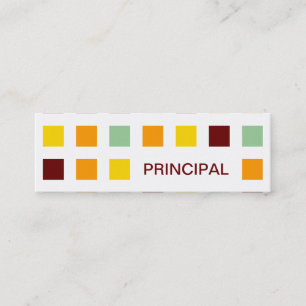 PRINCIPAL (mod squares) Mini Business Card