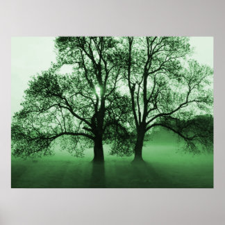 PRINT - 2 Big Trees Green
