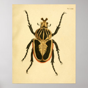 Print "Entomologie II"