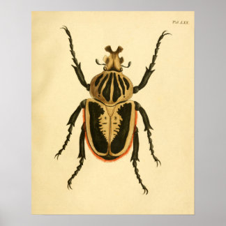 Print "Entomologie II"