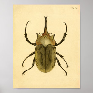 Print "Entomologie IV"