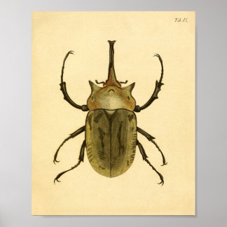 Print "Entomologie IV"
