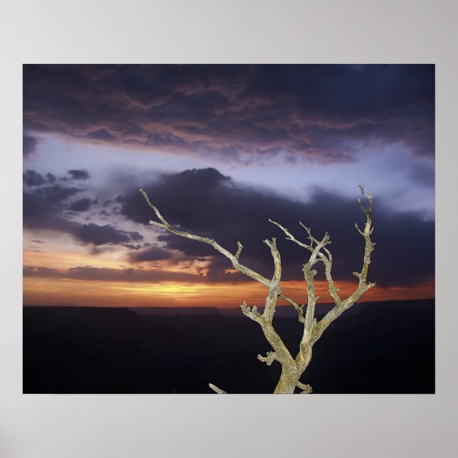 Print - Grand Canyon Sunset (Front)