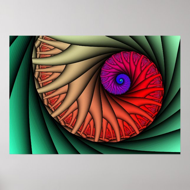 Print: Julia Nautilus Poster (Front)