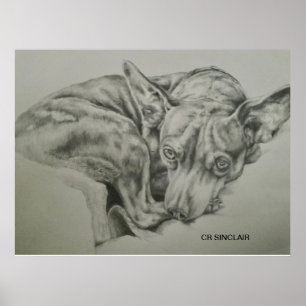 Print, Matte )MEET SAM by CR Sinclair Poster