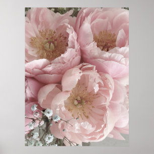 PRINT   Peonies III - 24in x 32in