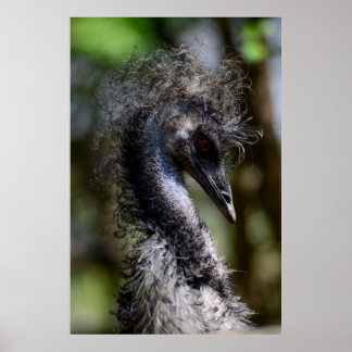 Print, Value Poster Paper (Matte)