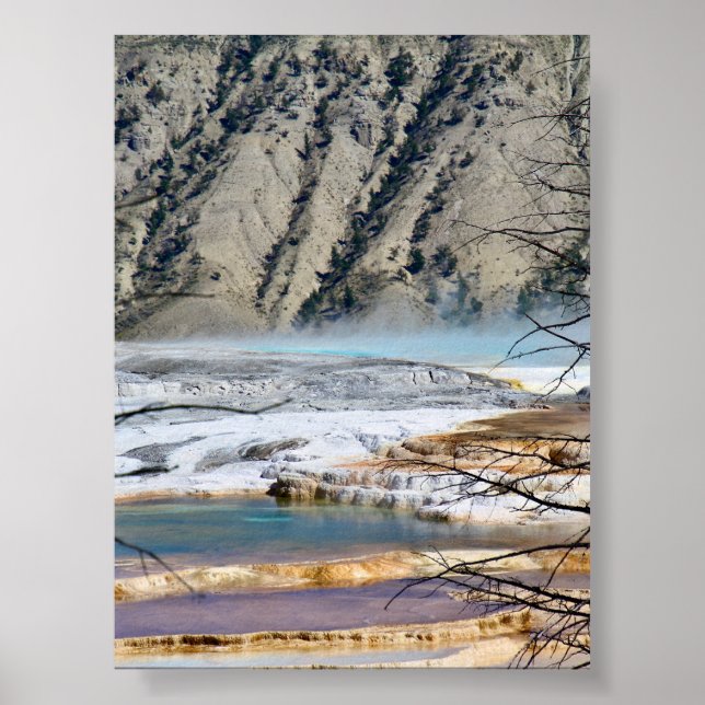 Print, Value Poster Paper (Matte) (Front)