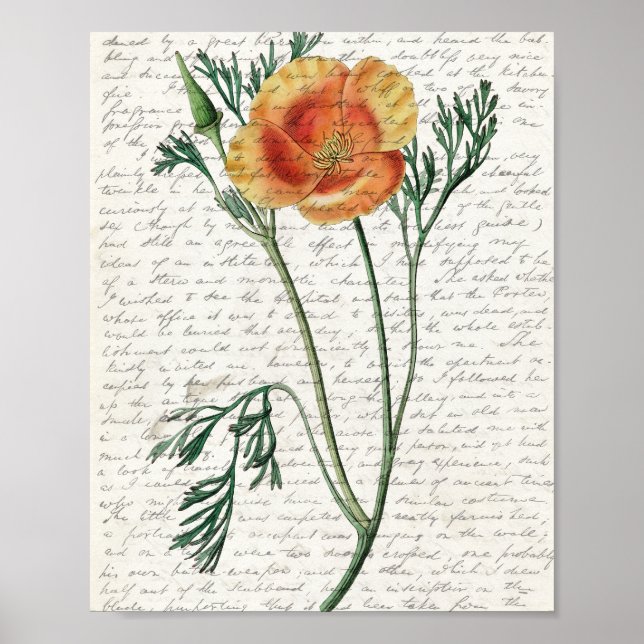 Print, Value Poster Paper (Matte) (Front)