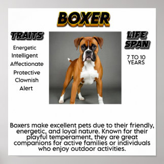 Print, Value Poster Paper (Matte)