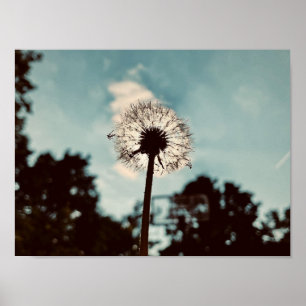 Print, Value Poster Paper (Matte)