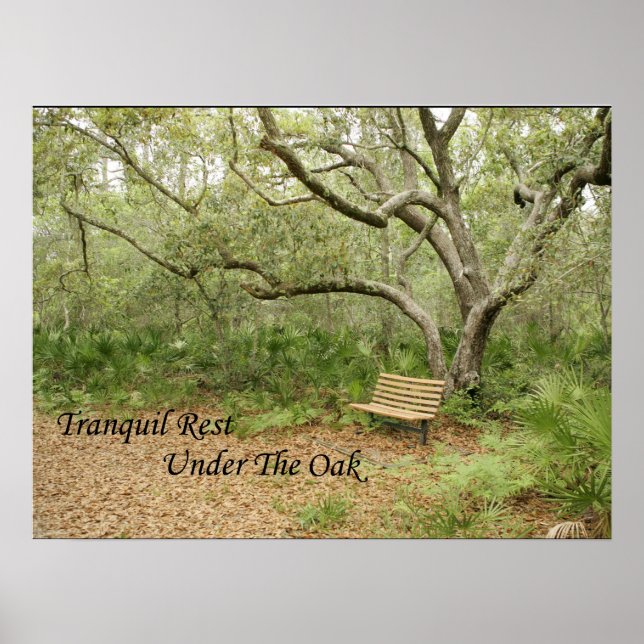 Print, Value Poster Paper (Matte) (Front)