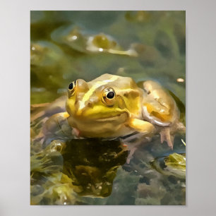 Print, Value Poster Paper (Matte)