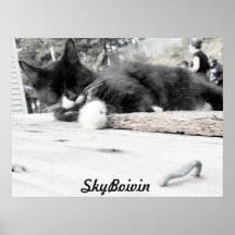 Print, Value Poster Paper (Matte)