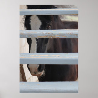 Print, Value Poster Paper (Semi-Gloss)