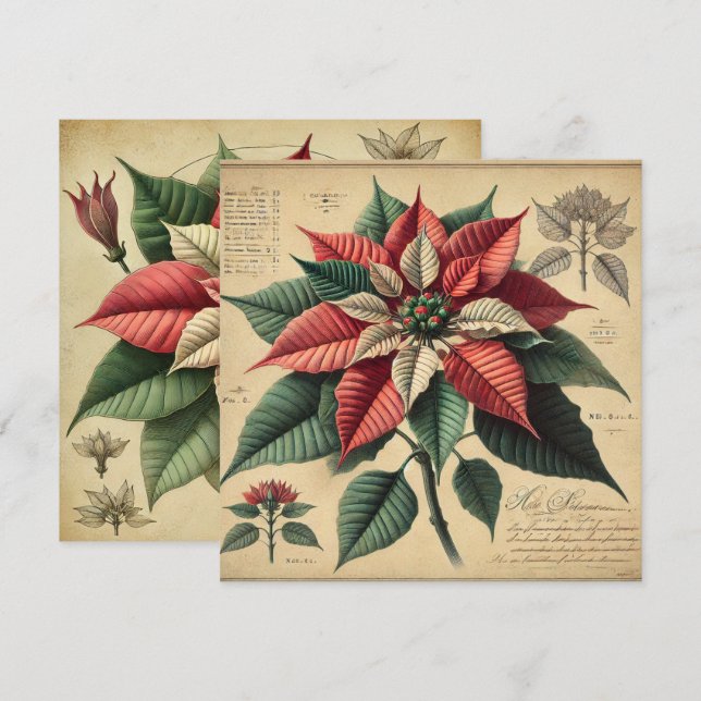 Printable Retro Poinsettia Botanical Scrapbook Invitation (Front/Back)
