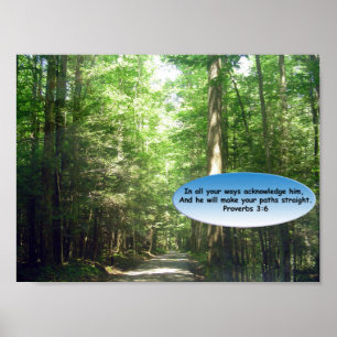 Prints & Posters: Path though the Forest