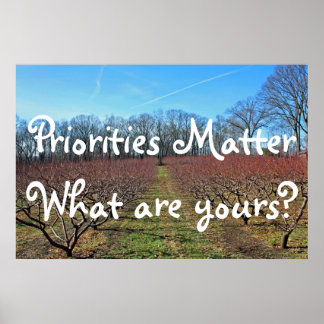 Priorities Matter Poster