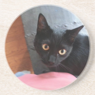 Priscilla cat coaster