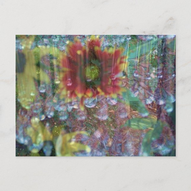 Prism flowers postcard (Front)