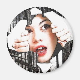 prison magnet