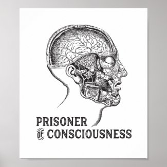 Prisoner of Consciousness Wide Awake Humour Poster