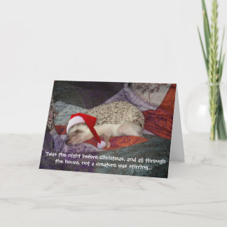 Prissy Christmas Card 2006