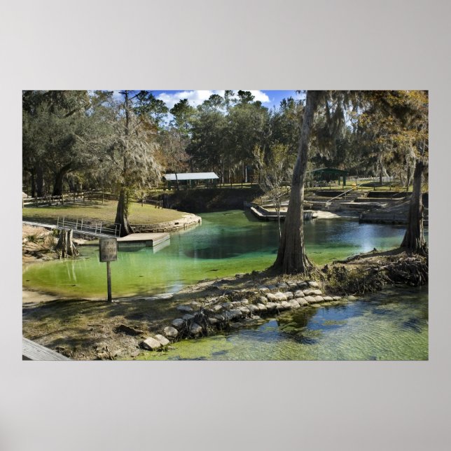 Pristine Spring in Winter Print (Front)