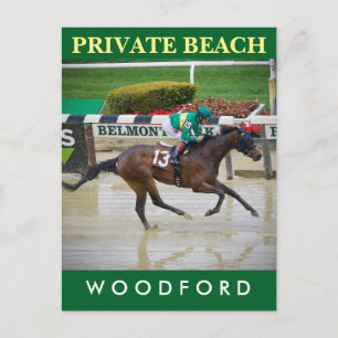 Private Beach Postcard