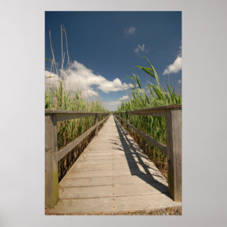 Private dock poster