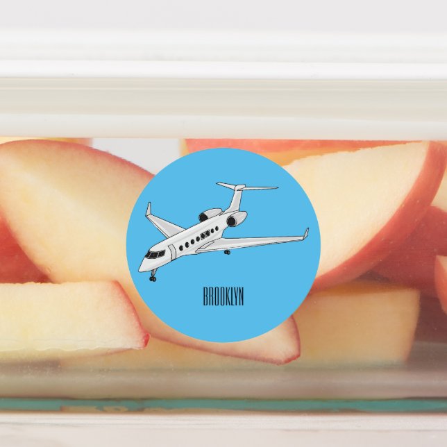 Private jet cartoon illustration (Affixed)