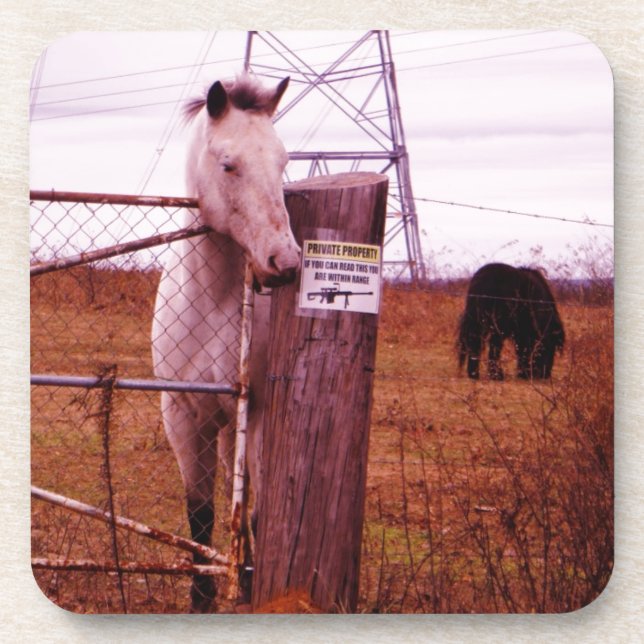 Private Property lavender Horse Coaster (Front)
