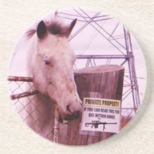 Private Property lavender Horse Coaster
